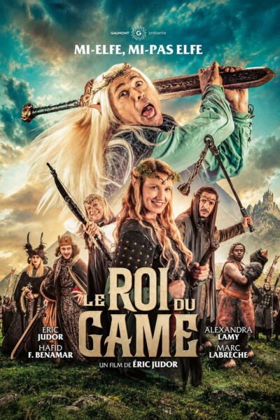 Affiche de LE ROI DU GAME